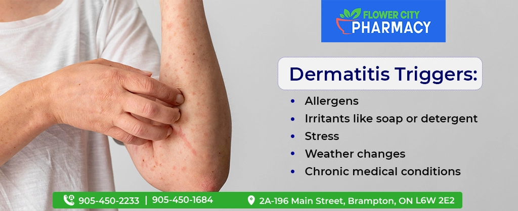 Causes and Triggers of Dermatitis